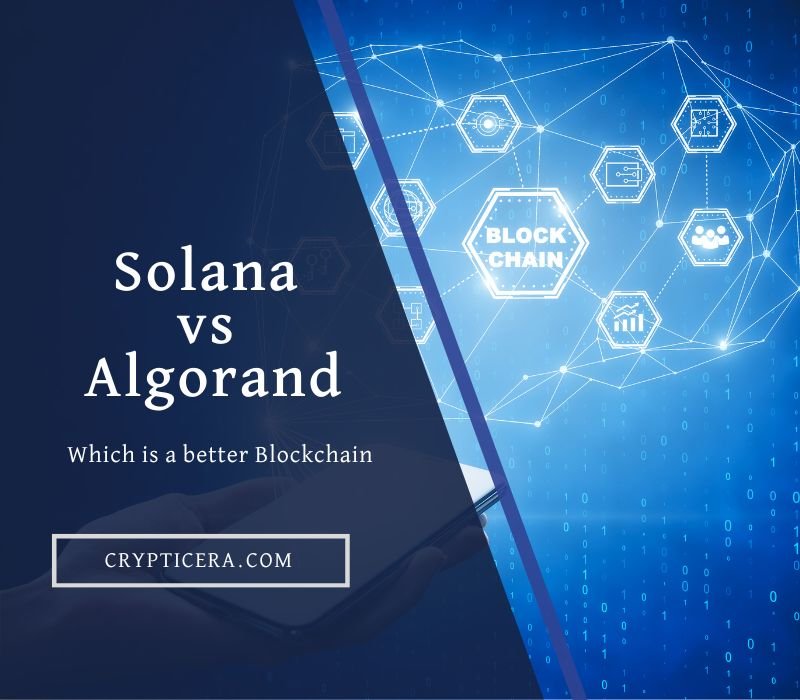 Solana vs Algorand