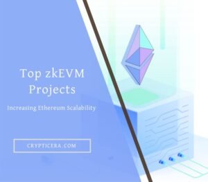 Top zkEVM Projects