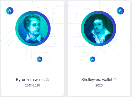 types of yoroi wallet