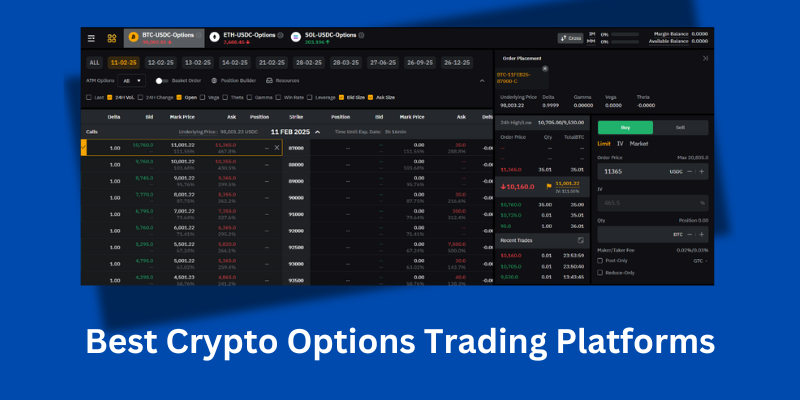 Best Crypto Options Trading Platforms