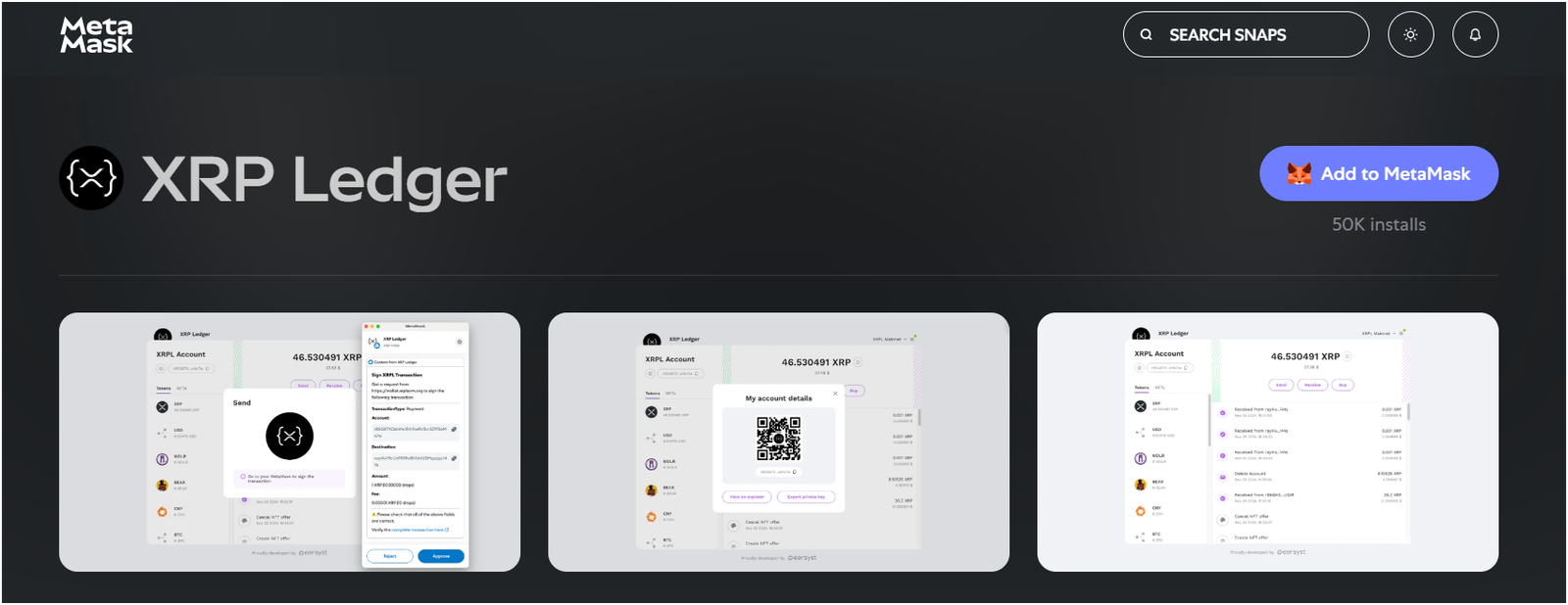 XRP Ledger MetaMask