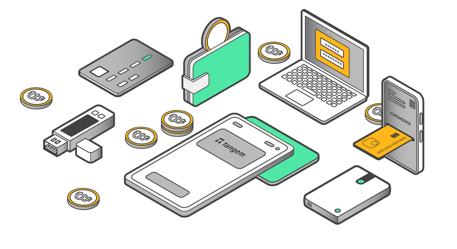 setting up best altcoin wallets